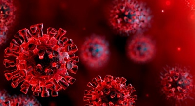 SARS‑CoV‑2, the coronavirus which caused the COVID-19 pandemic belongs to which virus type?