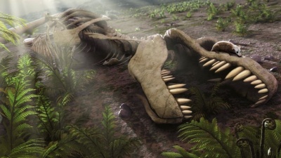 What caused the dinosaurs to die out?