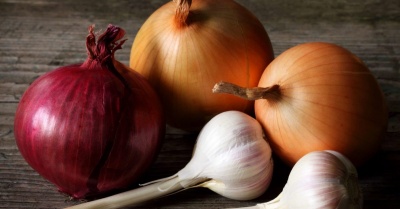 What element gives garlic and onions their pungent smell and taste?