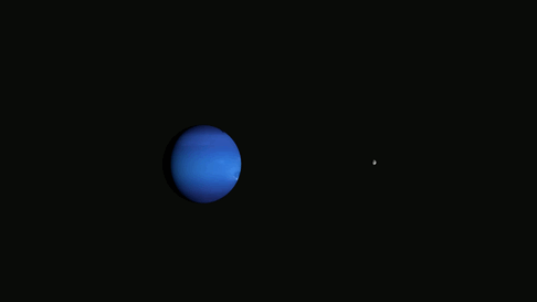 Which moon of Neptune orbits backwards?